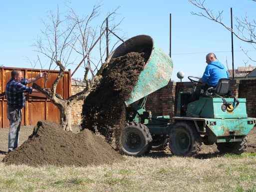 Honey Garden - planting