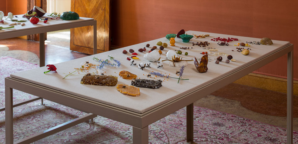 Judi Harvest, Propagation: Bees + Seeds, 2017