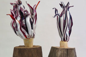 Radicchio, I & II, 2018