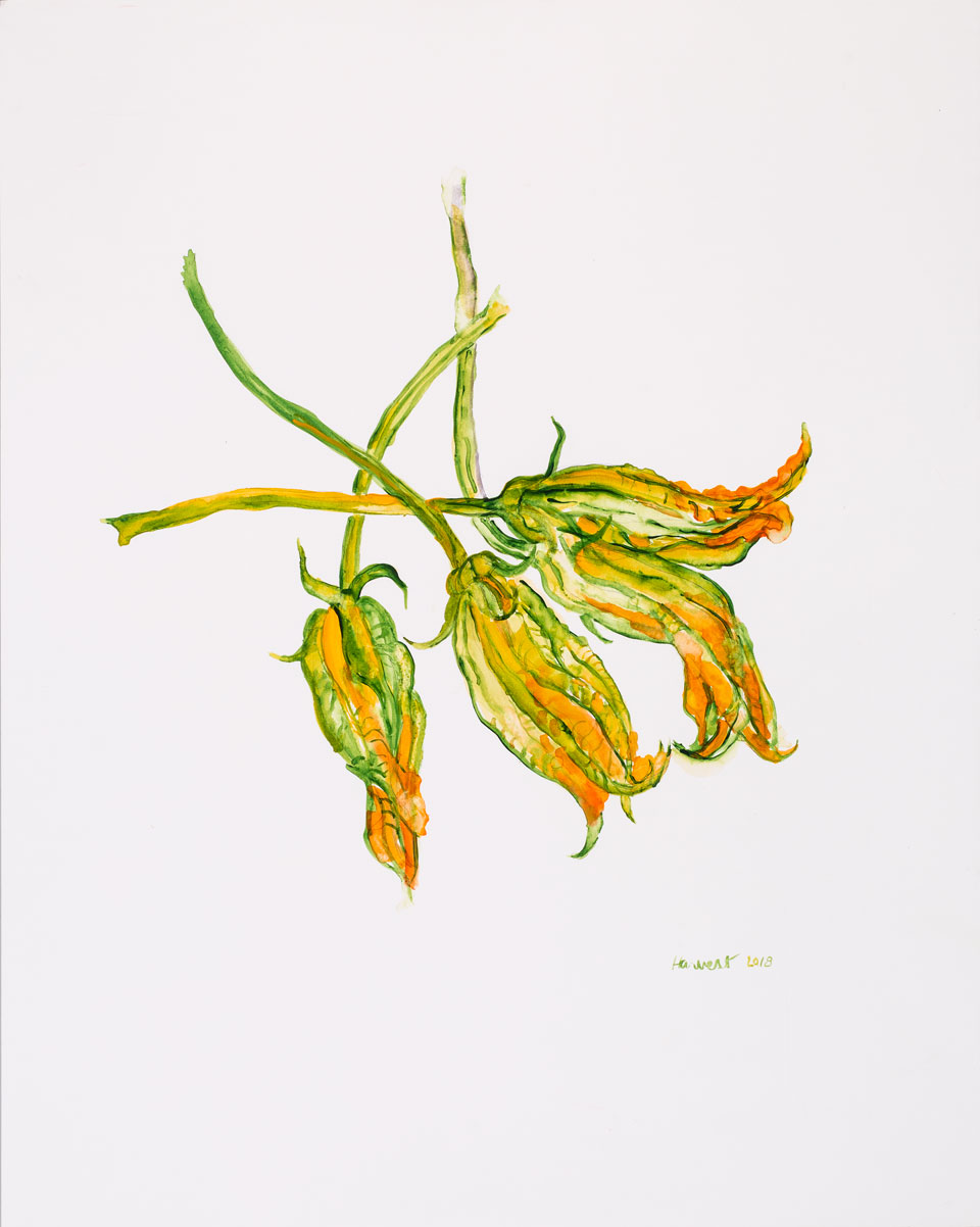 Fiori di Zucca, 2018