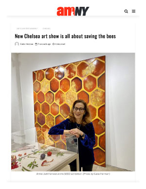 amNewYork - Judi Harvest