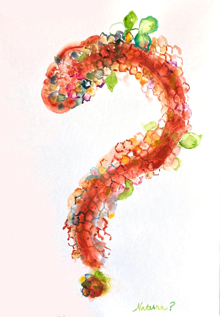 Delicate Questions invitation card