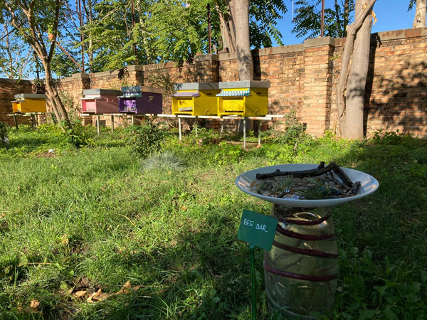 Goti De Fornassa, 2022