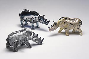 Rhinos, 2001