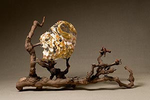 Grape Vine Hive, 2009