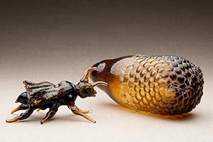 Hive and Baby Drone, 2011